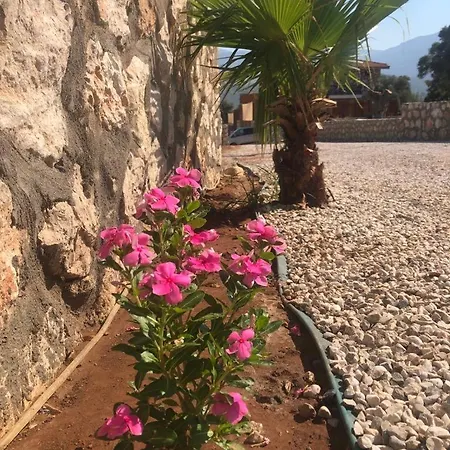 Villammiss1 Villa Yesilkoy (Mediterranean)
